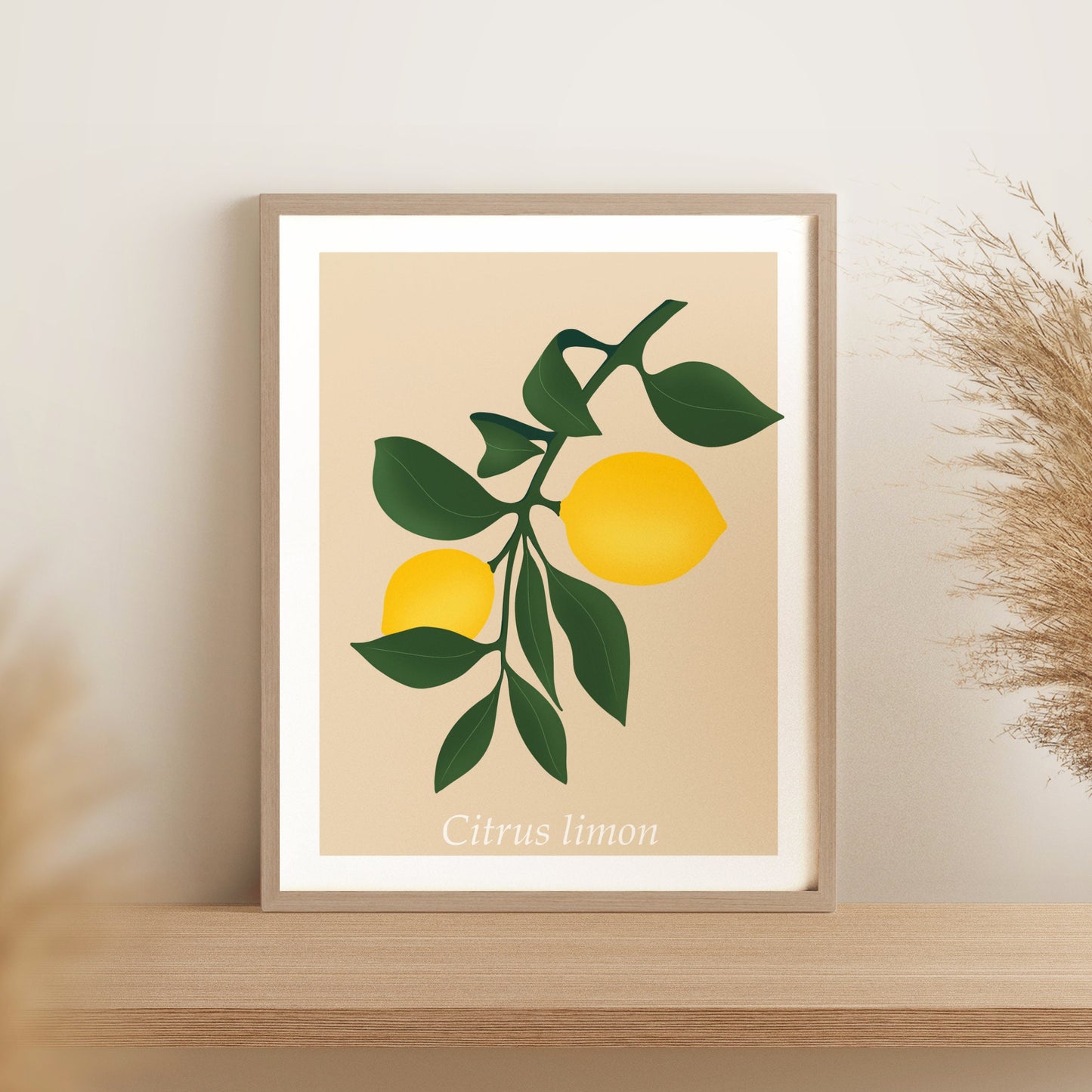 Affiche Citrus Limon